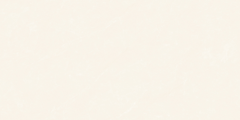 Z8T718（子母配套）