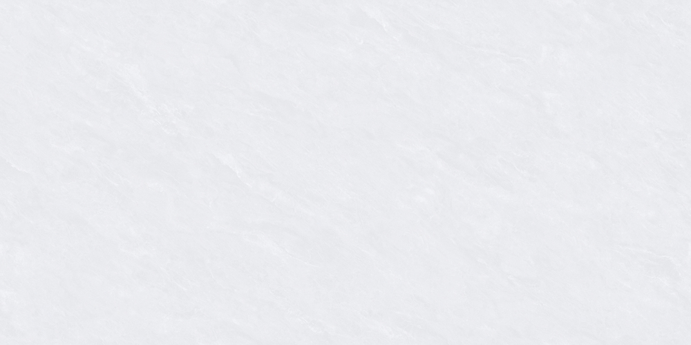 Z8T730L(子母配套）